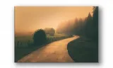 obraz-na-plotnie-020-drozka-60x40cm-stan-nowy