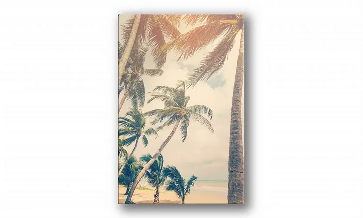 obraz-na-plotnie-076-palmy-40x60cm-stan-nowy