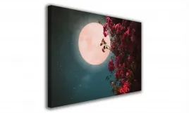 obraz-na-plotnie-049-ksiezyc-60x40cm