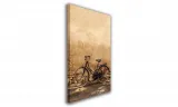 obraz-na-plotnie-088-retro-rower-40x60cm