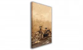 obraz-na-plotnie-088-retro-rower-40x60cm