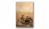 obraz-na-plotnie-088-retro-rower-40x60cm-stan-nowy