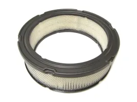 filtr-powietrza-briggs-bands-vanguard-394018