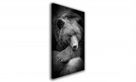 obraz-na-plotnie-003-niedzwiedz-60x90cm