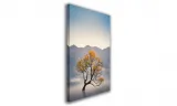 obraz-na-plotnie-022-drzewo-we-mgle-60x90cm