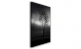 obraz-na-plotnie-024-drzewo-60x90cm