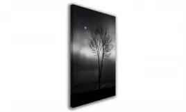 obraz-na-plotnie-024-drzewo-60x90cm