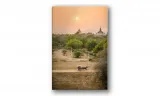 obraz-na-plotnie-033-indie-60x90cm-stan-nowy