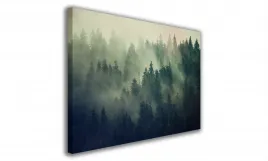 obraz-na-plotnie-027-gesty-las-90x60cm