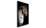 obraz-na-plotnie-051-lampart-60x90cm