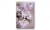 obraz-na-plotnie-050-kwiaty-60x90cm-stan-nowy
