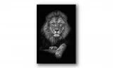 obraz-na-plotnie-089-lew-60x90cm-stan-nowy