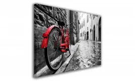 obraz-na-plotnie-090-rower-w-miescie-90x60cm