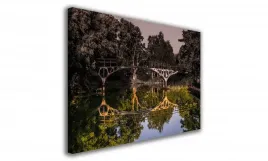 obraz-na-plotnie-068-most-w-lesie-90x60cm