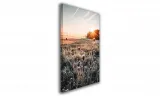 obraz-na-plotnie-075-oset-60x90cm