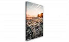 obraz-na-plotnie-075-oset-60x90cm