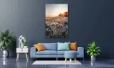 obraz-na-plotnie-075-oset-60x90cm-wysokosc-cm-51-60