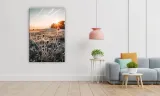 obraz-na-plotnie-075-oset-60x90cm-szerokosc-cm-51-60