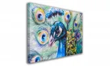 obraz-na-plotnie-081-paw-90x60cm