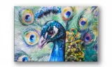obraz-na-plotnie-081-paw-90x60cm-stan-nowy