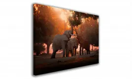 obraz-na-plotnie-092-slonie-90x60cm