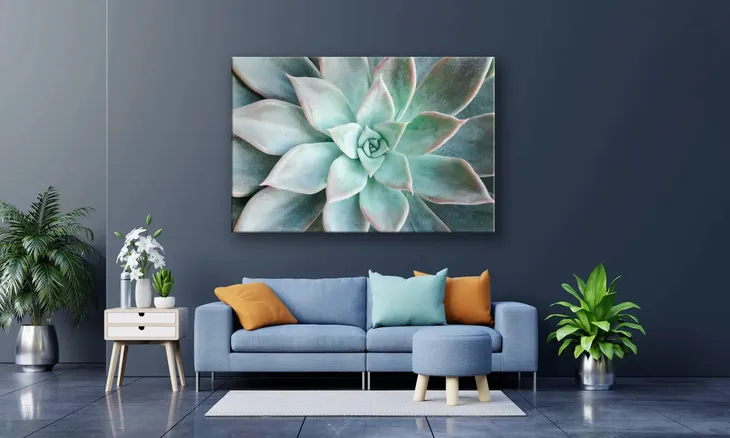 obraz-na-plotnie-098-sukulent-90x60cm-wysokosc-cm-51-60