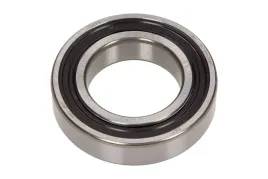lozysko-6007-2rs1-skf