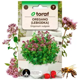 oregano-nasiona-ziola-roslina-lebiodka-05g