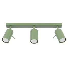 plafon-ring-3l-szalwiowy