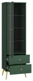 witryna-forest-zielony-stan-nowy