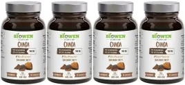 biowen-chaga-400-mg-40percent-polisacharydow-30percent-beta-glukanow-360-kapsulek