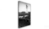 obraz-na-plotnie-093-sosna-70x100cm