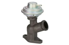 zawor-egr-eg10423-12b1-del