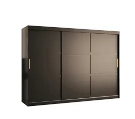szafa-przesuwna-ubraniowa-abiks-meble-ramiro-1-250-cm-200-cm-czarny-mat