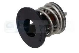 termostat-srodka-chlodzacego-820280-val