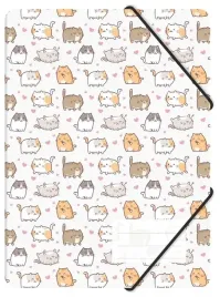 teczka-z-gumka-pp-a4-kittens-b-fol