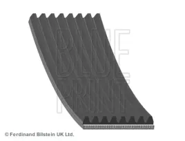 pasek-wieloklinowy-ad08r2512-blp