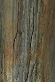 kamien-w-rolce-fornir-kamienny-naturalny-forest-122x61x03-cm