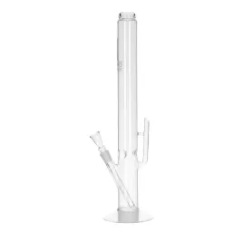 bongo-cactus-49-cm-188-mm