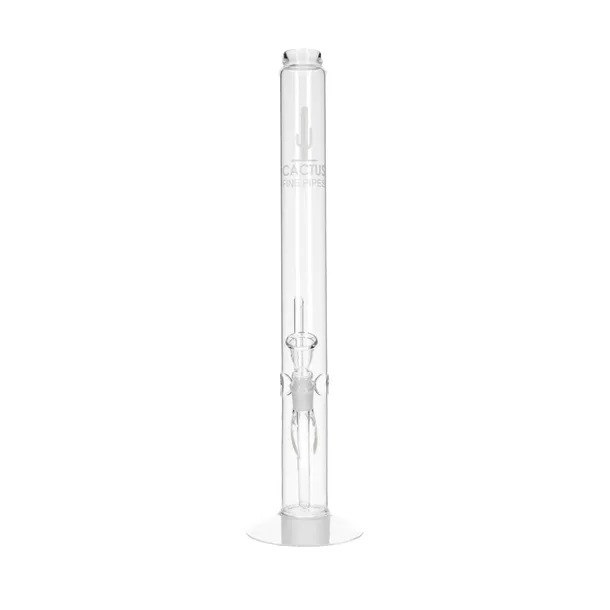 bongo-cactus-49-cm-188-mm-stan-nowy