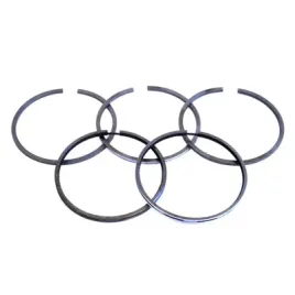 pierscienie-t-25-5p-chrom-kpl-1tlok