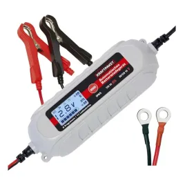 prostownik-automatyczny-dino-kraftpaket-136312-12v-4a