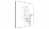 obraz-na-plotnie-074-orzel-40x40cm