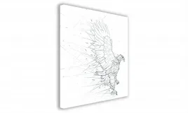obraz-na-plotnie-074-orzel-40x40cm
