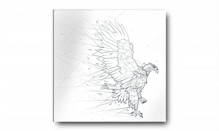 obraz-na-plotnie-074-orzel-40x40cm-stan-nowy