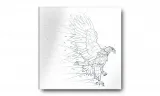 obraz-na-plotnie-074-orzel-40x40cm-stan-nowy