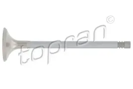 zawor-wydechowy-110-202-top