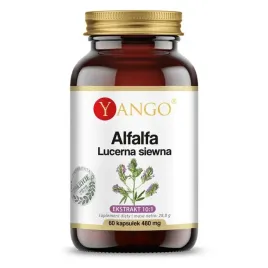 yango-alfalfa-lucerna-siewna-60-kaps