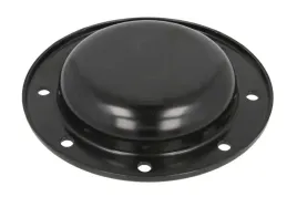 pokrywa-piasty-0501318087zf