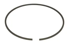 pierscien-zabezpieczajacy-0501320253zf